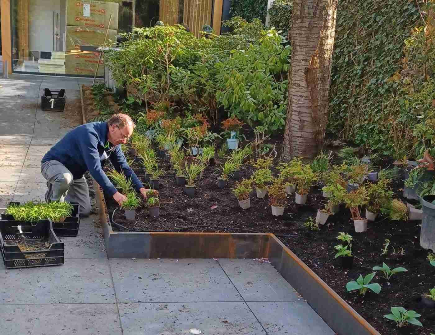 werk in uitvoering_inplanten border stadstuin_beplanting Robin