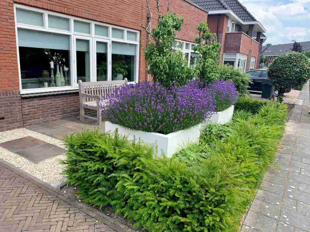 Levendig & gezellig tuinontwerp in Amersfoort