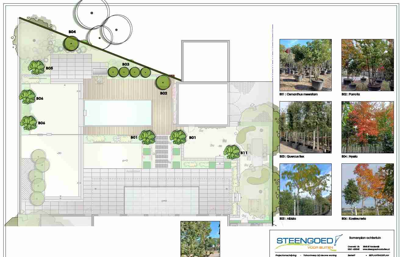 bomenplan_achtertuin_Barneveld