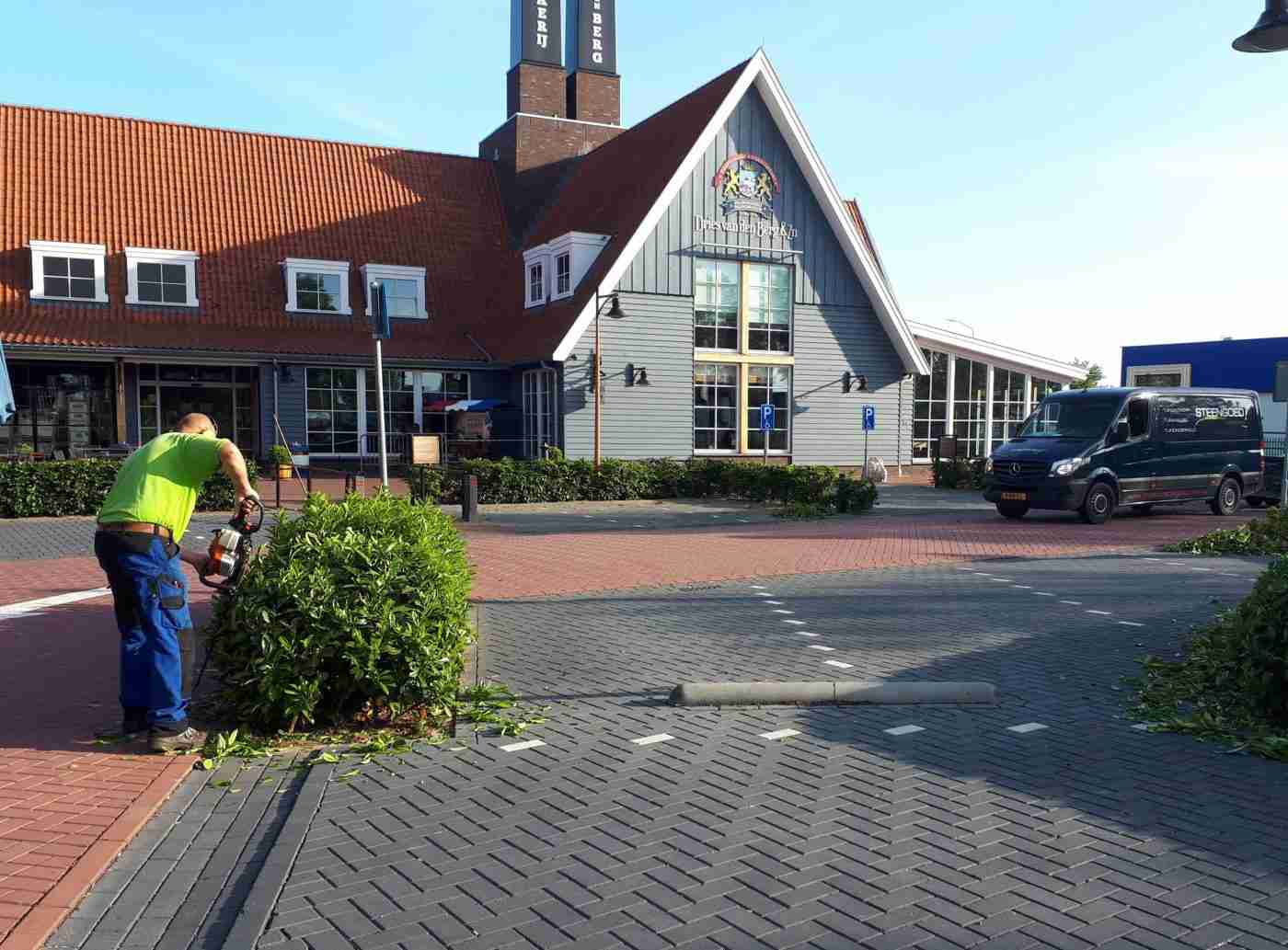 tuin onderhoud_hagen snoeien_bedrijven harderwijk